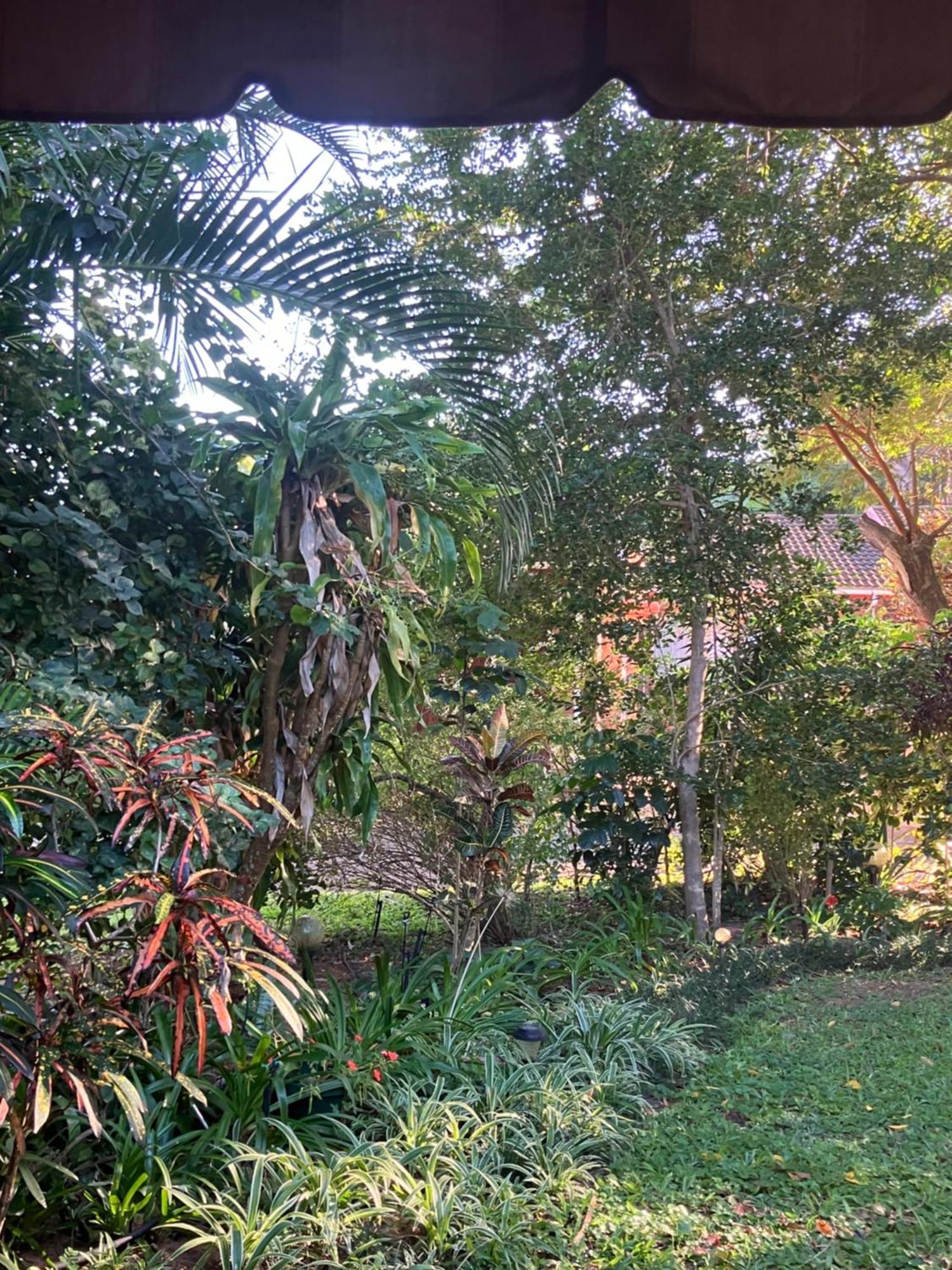 Villa El Seuno De Africa -The Dream Of Africa Saint Lucia Estuary Exterior foto